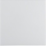 Клавіша одинарна HAGER-BERKER полярна білизна матова S.1