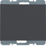 Заглушка з центральною панеллю HAGER-BERKER без цоколя антрацит К.1