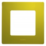 Рамка LEGRAND Etika 1 пост зелена папороть