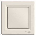 Заглушка SCHNEIDER ASFORA EPH5600123 кремовий