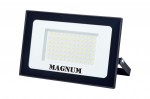 Прожектор MAGNUM FL12 ECO LED 100Вт slim 220В 6500К IP65 светодиодный