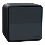 Вимикач SCHNEIDER Mureva Styl MUR35021 прохідний (сх 6) IP55 зовнішнього монтажу чорний