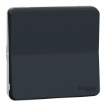 Вимикач SCHNEIDER Mureva Styl MUR37021 прохідний (сх 6) IP55 чорний