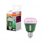 Лампа LED Osram T60 GROW 10W 230V CL E27