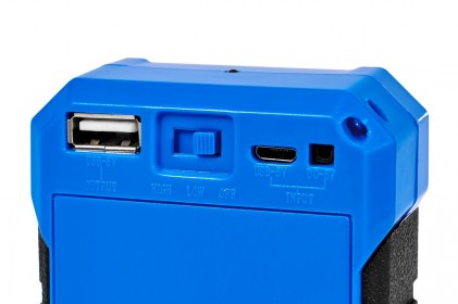 Светильник DELUX REL-101 (4V2.4Ah) 36 LED 4W USB аварийный светодиодный