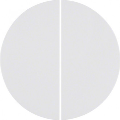 Кнопка 2-канальная HAGER-BERKER KNX-quicklink полярная белизна R.x