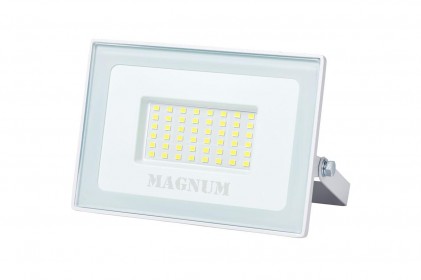 Прожектор MAGNUM FL12 ECO LED 50Вт slim 220В 6500К IP65 белый светодиодный