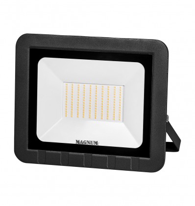 Прожектор MAGNUM FL ECO LED 100Вт slim 220 6500К IP65 світлодіодний