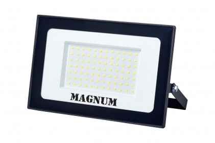 Прожектор MAGNUM FL12 ECO LED 100Вт slim 220В 6500К IP65 светодиодный