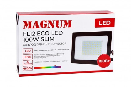 Прожектор MAGNUM FL12 ECO LED 100Вт slim 220В 6500К IP65 светодиодный