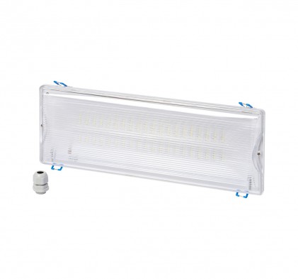 Светильник DELUX REL-202 (3.7V2.2Ah) 40 LED 8W аварийный светодиодный