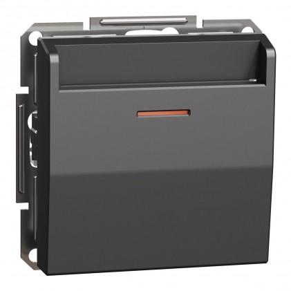 Вимикач картковий SCHNEIDER ASFORA EPH6200171 антрацит