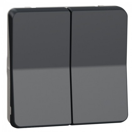 Выключатель 2-х клавишный SCHNEIDER Mureva Styl MUR35019 проходной (сх 6+6) IP55 черный