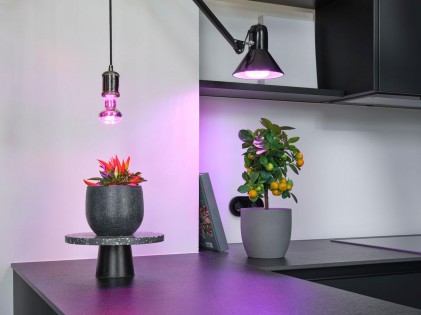 Лампа LED Osram R63 GROW 7.5W 230V CL E27