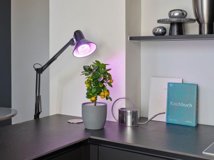 Лампа LED Osram T80 GROW 20W 230V CL E27