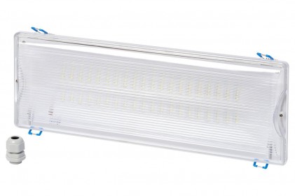 Светильник  аварийный DELUX REL-204 (3.7V2.2Ah) 40 LED 4Вт светодиодный